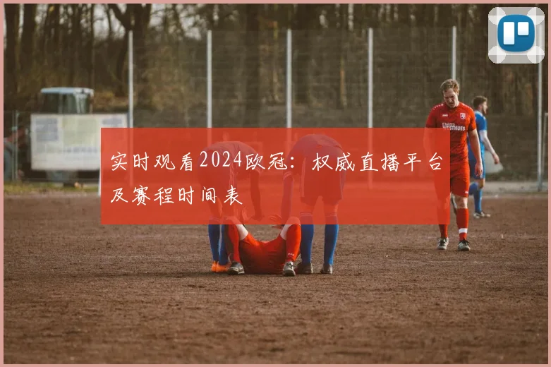 实时观看2024欧冠：权威直播平台及赛程时间表