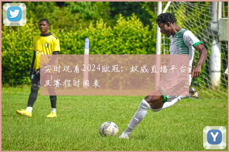 实时观看2024欧冠：权威直播平台及赛程时间表