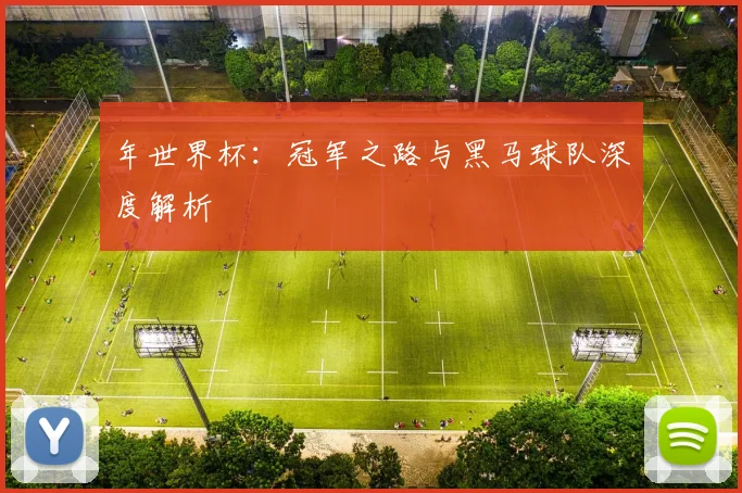 年世界杯：冠军之路与黑马球队深度解析