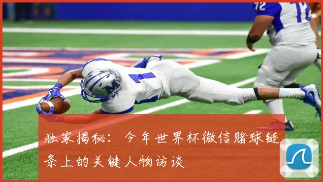 独家揭秘：今年世界杯微信赌球链条上的关键人物访谈