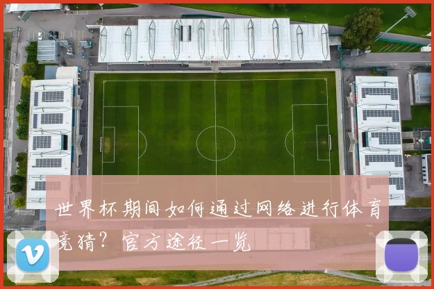 世界杯期间如何通过网络进行体育竞猜？官方途径一览