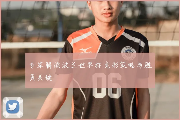 专家解读波兰世界杯竞彩策略与胜负关键