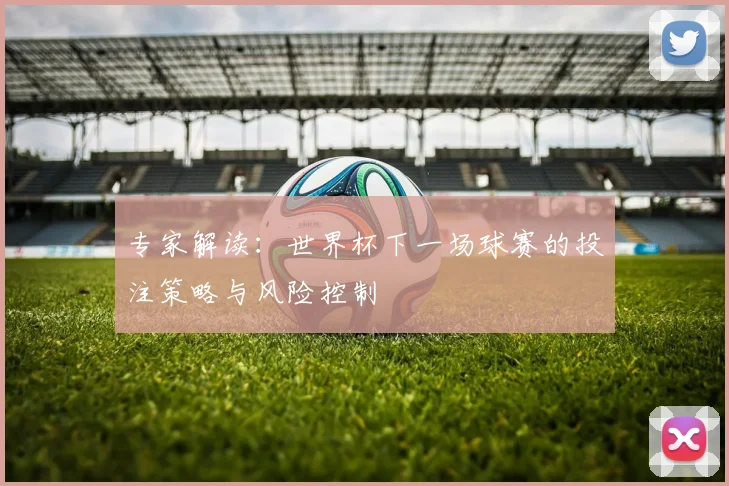 专家解读：世界杯下一场球赛的投注策略与风险控制