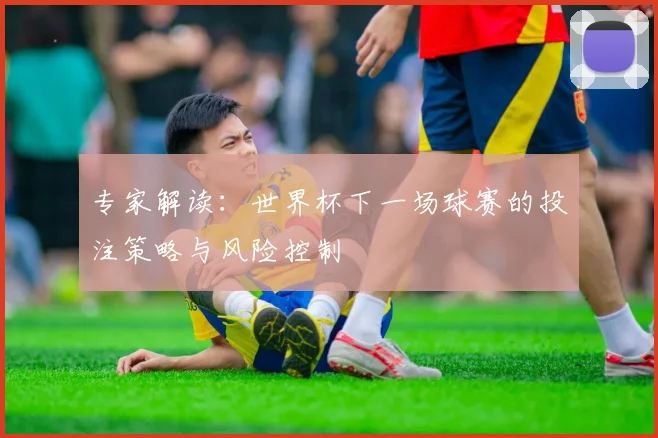 专家解读：世界杯下一场球赛的投注策略与风险控制